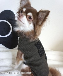 MARY QUANT（マリークワント）の「サガラロゴタートル プルオーバー for DOG（ペットウェア・レディース）」
