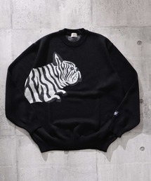 The Endless Summer（エンドレスサマー）の「TES ZEBRA BUHI JQ