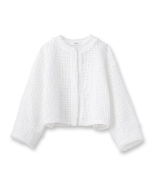 DRESSTERIOR ドレステリア ノーカラージャケット 福田麻琴さんコラボ