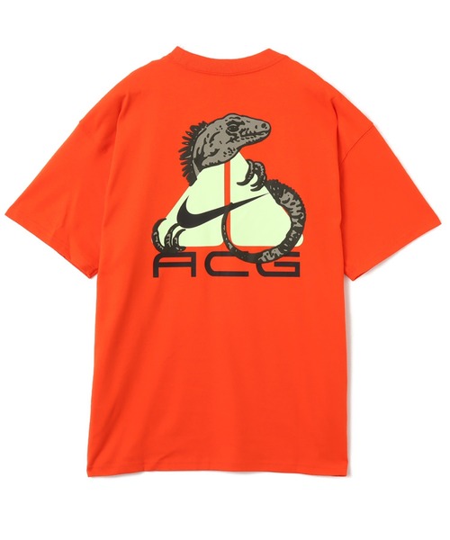 【NIKE acg】　ナイキ　イグアナ Dri-FIT Tシャツ　2XL NIKE acg】 ナイキ イグアナ Dri-FIT Tシャツ 2XL - メルカリ