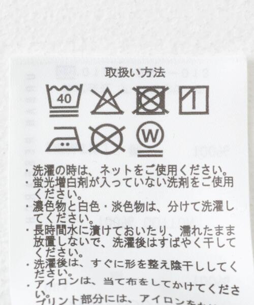 ITEMS URBANRESEARCH(アイテムズ アーバンリサーチ)の「『別注』Jamiroquai T-shirts(Tシャツ/カットソー・メンズ・ブラック/ホワイト・MEDIUM/LARGE)」の22枚目の写真