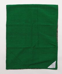 PUEBCO(vGuR)REVERSIBLE NAP MAT / PAISLEY x GREEN(O/}bg)