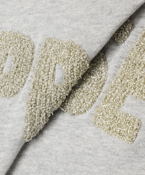B.C STOCK(ベーセーストック)の「ラメサガラ刺繍ロングスリーブ(Tシャツ/カットソー・レディース・サックスブルー/ライトグレー/ピンク/チャコールグレー・FREE)」の13枚目の写真