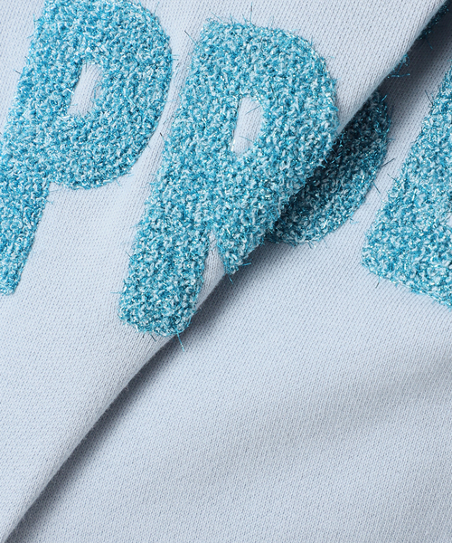 B.C STOCK(ベーセーストック)の「ラメサガラ刺繍ロングスリーブ(Tシャツ/カットソー・レディース・サックスブルー/ライトグレー/ピンク/チャコールグレー・FREE)」の16枚目の写真