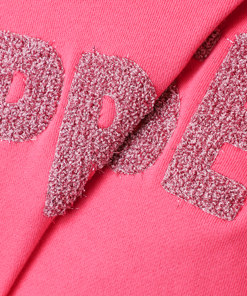 B.C STOCK(ベーセーストック)の「ラメサガラ刺繍ロングスリーブ(Tシャツ/カットソー・レディース・サックスブルー/ライトグレー/ピンク/チャコールグレー・FREE)」の19枚目の写真