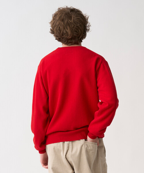 DANTON(ダントン)の「Men's Lambswool Crew Neck Knit Pullover(ニット/セーター・メンズ・レッド/オートミール/ブラウン系その他2/グリーン系その他/オレンジ系その他/ブラック/ライトグレー/ダークグレー/グレー系その他/ブルー/ブラウン・40/44/38/42)」の13枚目の写真