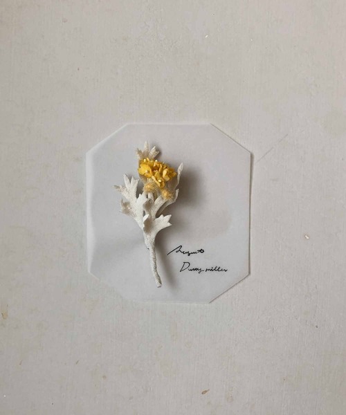 m.soeur(エムスール)の「季節のお花ブローチ*(ブローチ/コサージュ・レディース・ナチュラル/グリーン/ブルー/ブラック/ホワイト/ベージュ/ピンク/ホワイト系その他/ホワイト×グリーン/ミント/イエロー×グリーン/パープル・9月/12月/3月/6月/7月/11月/4月/2月/10月/1月/8月/5月)」の11枚目の写真