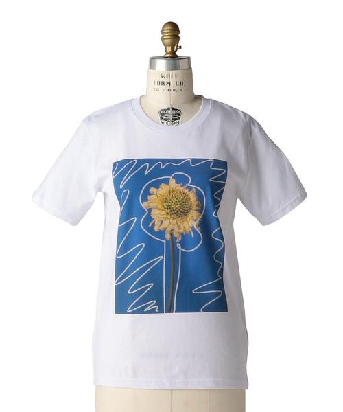 美品！Drawer LiSA KING tシャツ ドゥロワー リサキング ピンク 