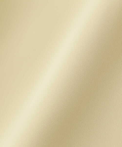 N.（N. Natural Beauty Basic）（エヌエヌナチュラルビューティーベーシック）の「◆フリルカラーブラウス（シャツ/ブラウス・レディース・ブルー/イエロー/ホワイト・MEDIUM）」の18枚目の写真