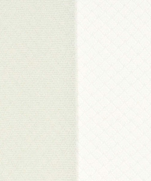 JILL STUART(ジルスチュアート)の「JILL STUART シルクプロテイン加工 ブライトプチダイヤ ストッキング 01056020(タイツ/ストッキング・レディース・ブラック/ベージュ/ベージュ系その他/ナチュラル/グレー系その他・L-XL/M-L)」の6枚目の写真