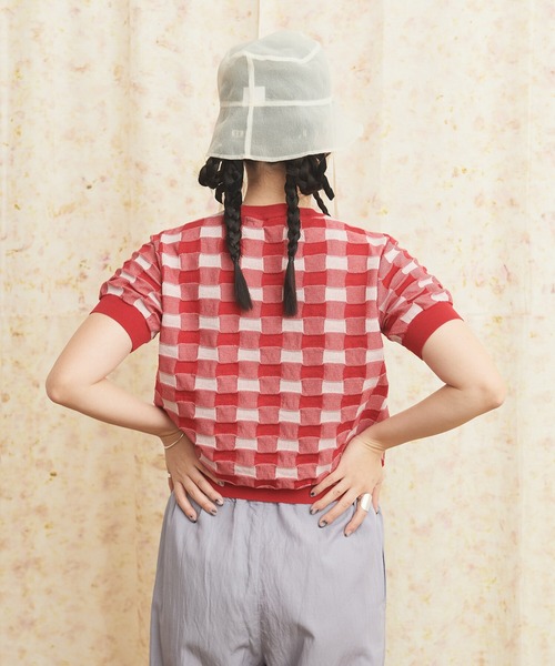 AMBIDEX(アンビデックス)の「ギンガムジャカード クルーネックプルオーバー(Tシャツ/カットソー・レディース・レッド/ブラック・FREE)」の18枚目の写真