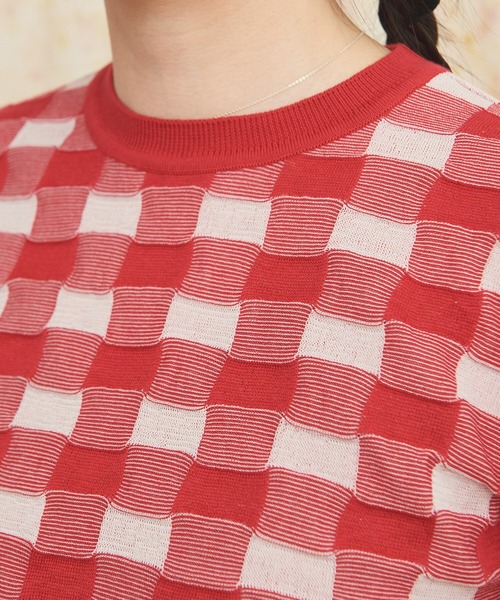AMBIDEX(アンビデックス)の「ギンガムジャカード クルーネックプルオーバー(Tシャツ/カットソー・レディース・レッド/ブラック・FREE)」の9枚目の写真