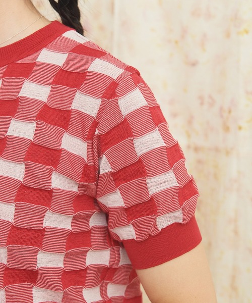 AMBIDEX(アンビデックス)の「ギンガムジャカード クルーネックプルオーバー(Tシャツ/カットソー・レディース・レッド/ブラック・FREE)」の8枚目の写真