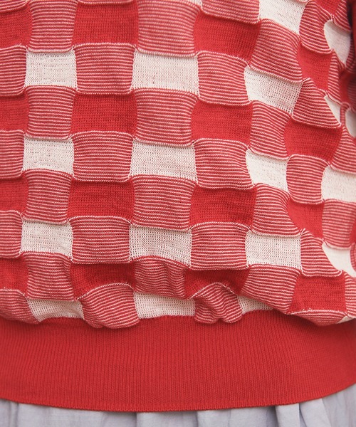 AMBIDEX(アンビデックス)の「ギンガムジャカード クルーネックプルオーバー(Tシャツ/カットソー・レディース・レッド/ブラック・FREE)」の7枚目の写真