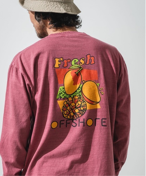 FRUITS L/STEE/フルーツロングスリーブティ（Tシャツ/カットソー）｜OFFSHORE（オフショア） 7,700円