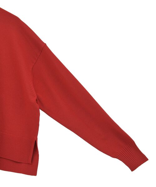 earth music&ecology(アースミュージックアンドエコロジー)の「選べる丈ハイネックニット(ニット/セーター・レディース・ベージュ/ブラック/アイボリー/レッド・L/S)」の14枚目の写真