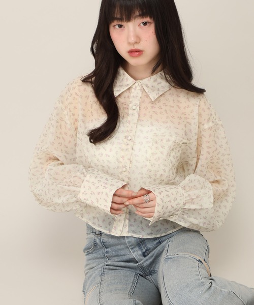 Heather(ヘザー)の「アソートシアーシャツ 669227(シャツ/ブラウス・レディース・ブルーグレー/アイボリー/ホワイト系その他・FREE)」の3枚目の写真