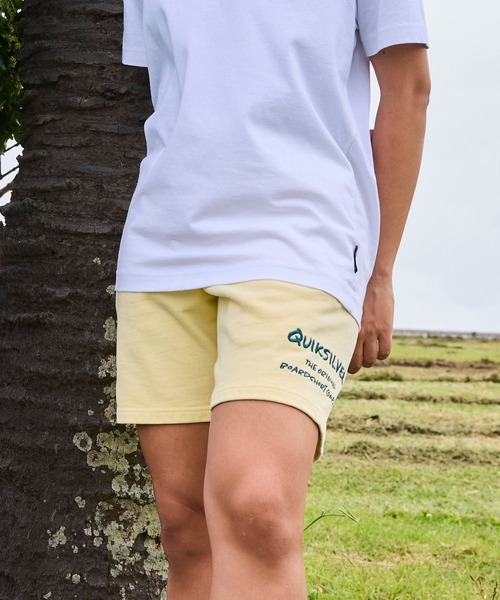 Quiksilver(クイックシルバー)の「QUIKSILVER メンズ PG HAND DRAWN SWEAT SHORTS ショートパンツ 【2026年春夏モデル】/スウェットショートパンツ(スウェットパンツ・メンズ・ベージュ/ブラック/イエロー・MEDIUM/X-LARGE/LARGE)」の18枚目の写真
