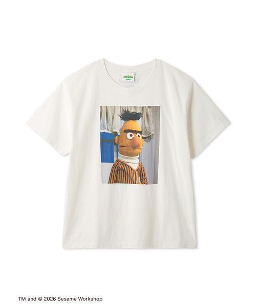 SESAME STREET(セサミストリート)の「【UNISEX】ヴィンテージフォトTシャツ(Tシャツ/カットソー・レディース・ピンク/カーキ/ブラック/ライトグレー/オフホワイト・M/L)」の15枚目の写真