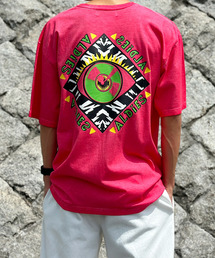 ALDIES | Nasty Record Big T / ナスティーレコードビッグT(Tシャツ/カットソー)