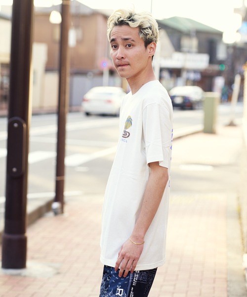 RVCA(ルーカ)の「WEB限定 RVCA COBRA MIRAGE SS/ルーカ 半袖Tシャツ(Tシャツ/カットソー・メンズ・ホワイト/ブラック・L/M)」の4枚目の写真