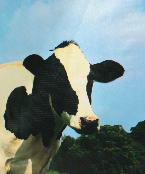 bpr BEAMS（ビーピーアール ビームス ）の「Esschert Design / Shopping bag farm animals アニマル バッグ（トートバッグ・レディース・その他1/その他3/その他2/その他・ONE SIZE）」の13枚目の写真