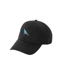 【POET MEETS DUBWISE/ポエトミーツダブワイズ】 BIRDER TOURS CAP 「BIRDER TOURS」6パネルキャップ