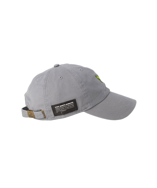 POET MEETS DUBWISE（ポエットミーツダブワイズ）の「【POET MEETS DUBWISE/ポエトミーツダブワイズ】 BIRDER TOURS CAP 「BIRDER TOURS」6パネルキャップ（キャップ・メンズ・グレー/グリーン/ブラック・FREE）」の4枚目の写真