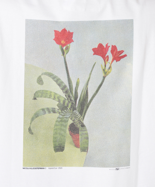 JANE SMITH / JOHN SMITH(ジェーンスミスジョンスミス)の「【JANE SMITH/ジェーンスミス】NICOLA KLOOSTERMAN HYBRID RIN:Tシャツ(Tシャツ/カットソー・レディース・ホワイト・SMALL)」の13枚目の写真