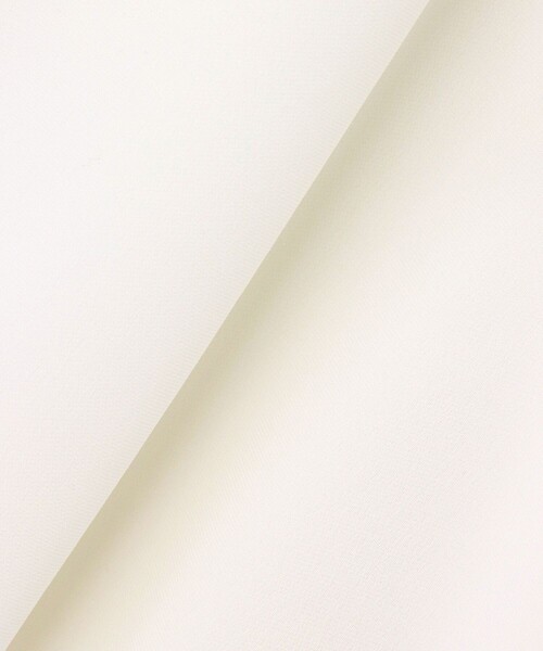 ANAYI(アナイ)の「トリアセポリエステルブルゾン(その他アウター・レディース・ホワイト/ブラック・38/36/34)」の21枚目の写真