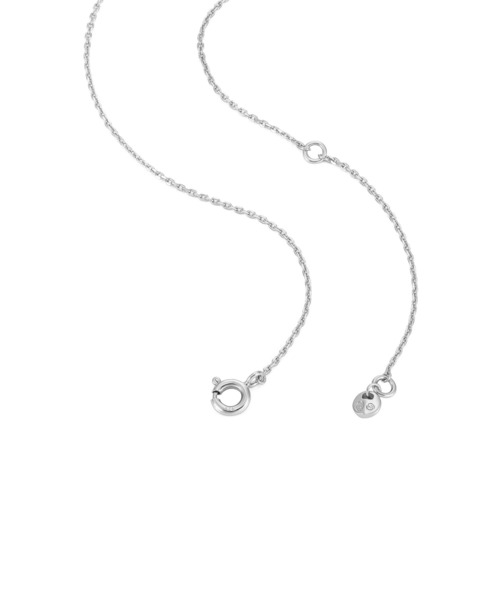 MICHAEL KORS（マイケルコース）の「マイケル・コース アクセサリー レディース セット シルバー MKC1767SET（ネックレス・レディース・シルバー・FREE）」の6枚目の写真