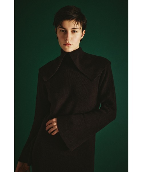 Long high collar knit dress ロングハイカラーニットドレス（ドレス