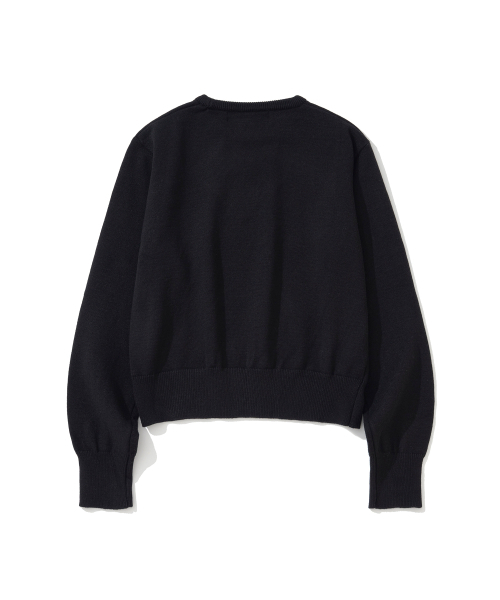 KNITTED(ニッティド)の「(W) ベーシックエッセンシャルウォッシャブルラウンドニット BLACK(ニット/セーター・レディース・その他・FREE)」の7枚目の写真