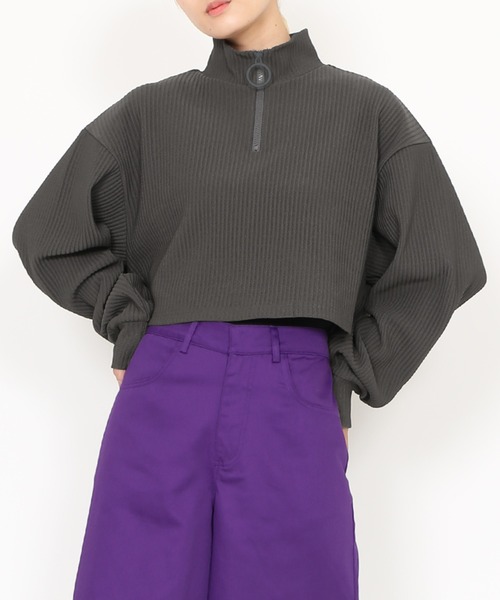 PUNYUS(プニュズ)の「ハーフZIPクロップドトップ(スウェット・レディース・レッド/ブラック/ダークグレー/カーキ/ブラウン/ブルー・3/1/4/2)」の3枚目の写真