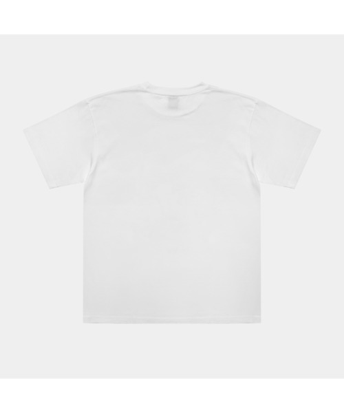 APPLEBUM（アップルバム）の「"Stunts, Blunts & Hip Hop" T-shirt（Tシャツ/カットソー・メンズ・ホワイト/ライトブルー/ライトピンク・XX-LARGE/X-LARGE/LARGE/MEDIUM）」の4枚目の写真