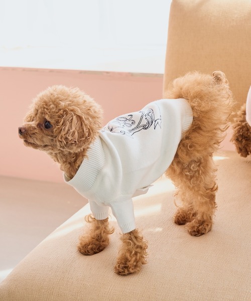 ROPE' PICNIC(ロペピクニック)の「【DOG】スエットライク刺繍ニット/リンクコーデ(ペットウェア・レディース・オフホワイト/ピンク・S/M/L/M size/D)」の17枚目の写真