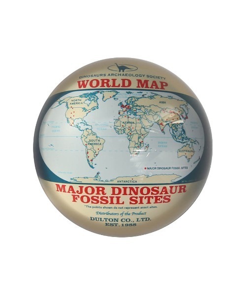 DULTON（ダルトン）の「GLASS PAPERWEIGHT DINOSAUR/ガラス ペーパーウェイト（ステーショナリー・メンズ・オレンジ/ベージュ系・FREE）」の5枚目の写真