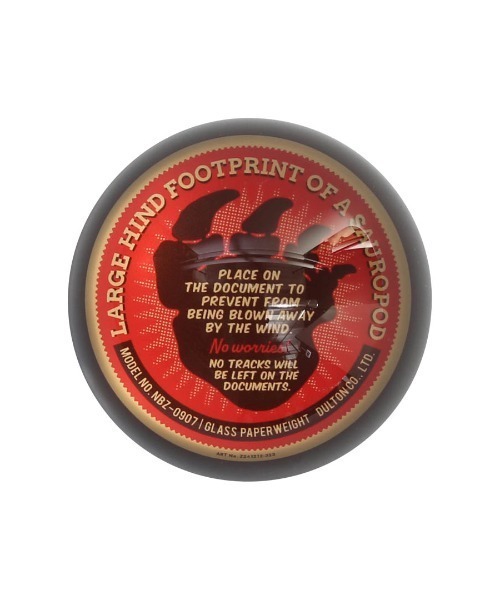 DULTON（ダルトン）の「GLASS PAPERWEIGHT DINOSAUR/ガラス ペーパーウェイト（ステーショナリー・メンズ・オレンジ/ベージュ系・FREE）」の6枚目の写真