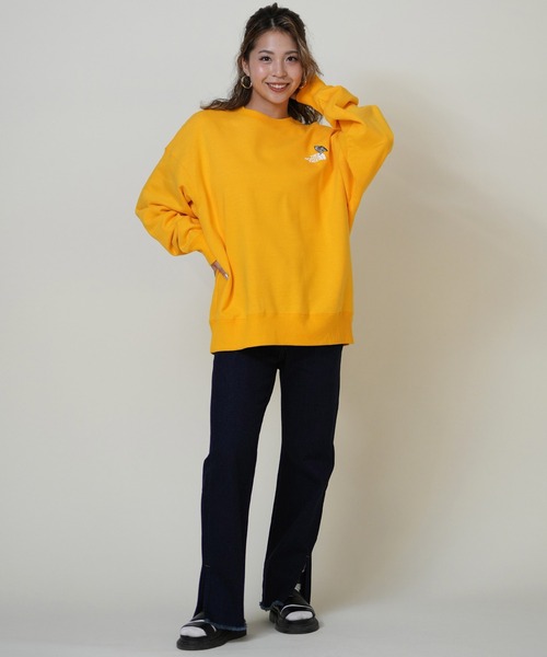 THE NORTH FACE/ザ・ノース・フェイス ZOO PICKER CREW