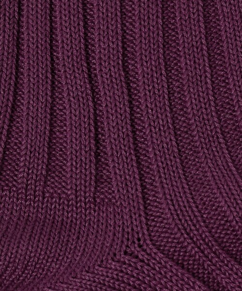 green label relaxing（グリーンレーベルリラクシング）の「96N 3*3 リブ ソリッド ソックス（ソックス/靴下・メンズ・ライトブルー/ダークブラウン/ダークグリーン/ダークグレー/パープル/ワイン・FREE）」の14枚目の写真