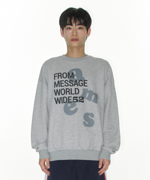 AMESWORLDWIDE（アメスワールドワイド）の「BIG LETTERING SWEATSHIRT GREY（スウェット・レディース・その他・LARGE/MEDIUM/SMALL）」の3枚目の写真