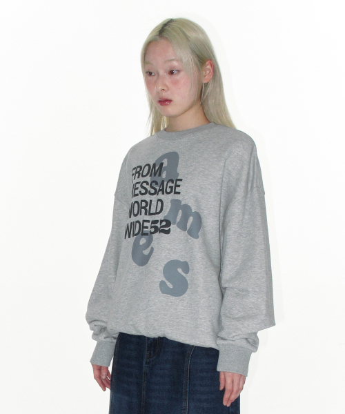 AMESWORLDWIDE（アメスワールドワイド）の「BIG LETTERING SWEATSHIRT GREY（スウェット・レディース・その他・LARGE/MEDIUM/SMALL）」の4枚目の写真