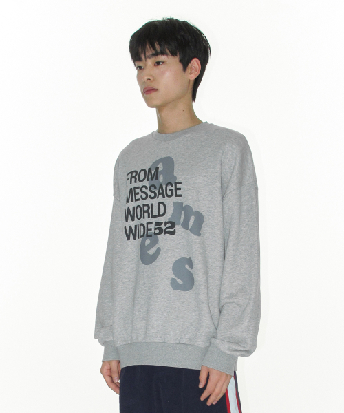 AMESWORLDWIDE（アメスワールドワイド）の「BIG LETTERING SWEATSHIRT GREY（スウェット・レディース・その他・LARGE/MEDIUM/SMALL）」の5枚目の写真