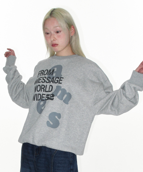 AMESWORLDWIDE（アメスワールドワイド）の「BIG LETTERING SWEATSHIRT GREY（スウェット・レディース・その他・LARGE/MEDIUM/SMALL）」の6枚目の写真