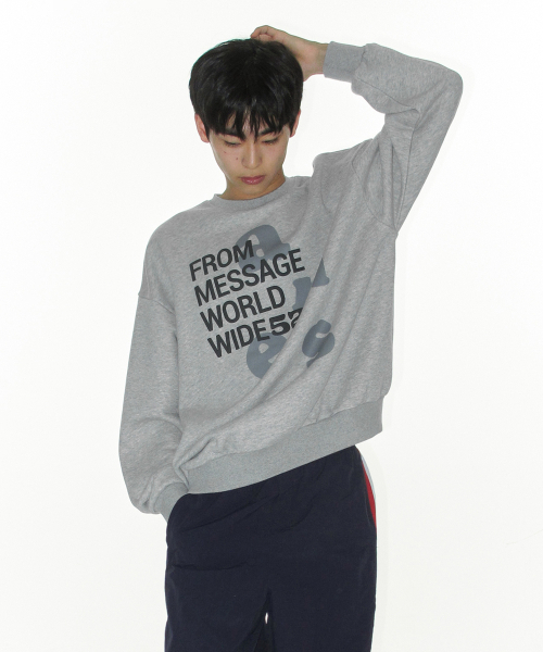 AMESWORLDWIDE（アメスワールドワイド）の「BIG LETTERING SWEATSHIRT GREY（スウェット・レディース・その他・LARGE/MEDIUM/SMALL）」の7枚目の写真