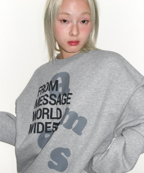 AMESWORLDWIDE（アメスワールドワイド）の「BIG LETTERING SWEATSHIRT GREY（スウェット・レディース・その他・LARGE/MEDIUM/SMALL）」の9枚目の写真