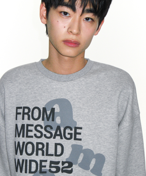 AMESWORLDWIDE（アメスワールドワイド）の「BIG LETTERING SWEATSHIRT GREY（スウェット・レディース・その他・LARGE/MEDIUM/SMALL）」の10枚目の写真