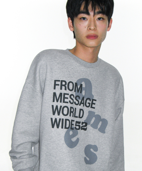 AMESWORLDWIDE（アメスワールドワイド）の「BIG LETTERING SWEATSHIRT GREY（スウェット・レディース・その他・LARGE/MEDIUM/SMALL）」の11枚目の写真