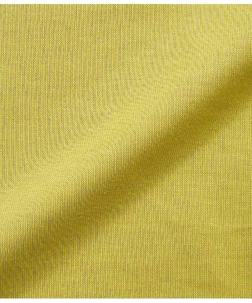 SIPULI（シプリ）の「[ULTIMA] Heavy Cotton Jersey ロールアップTシャツ（Tシャツ/カットソー・レディース・ライトグレー/ライトグリーン/レッド・2/3）」の4枚目の写真