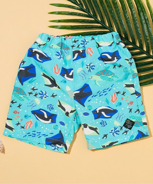 F.O.OnlineStore『BREEZEわくわくビーチショーツ_ジュニア対応』